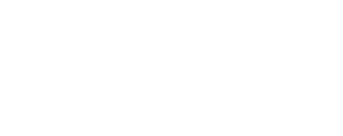 Developing Leader Inc White Logo